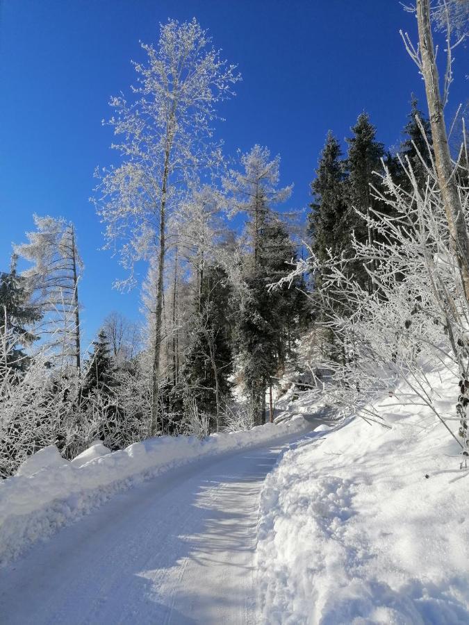 Kanis 80 Schnepfau Exteriör bild
